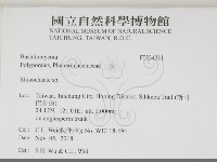 登錄號:F0034311藏品圖，第1張