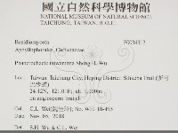 登錄號:F0034312藏品圖，第2張