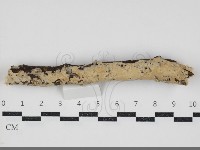 登錄號:F0034312藏品圖，第1張