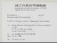 登錄號:F0034313藏品圖，第2張