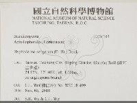 剛毛絲皮菌藏品圖，第2張