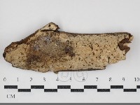 登錄號:F0034315藏品圖，第1張