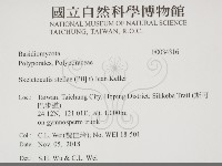 登錄號:F0034316藏品圖，第2張