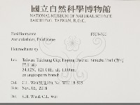 刺皮菌屬藏品圖，第2張