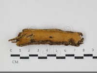 登錄號:F0034321藏品圖，第2張