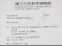 登錄號:F0034321藏品圖，第1張