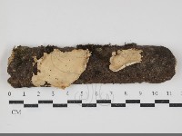 登錄號:F0034324藏品圖，第1張