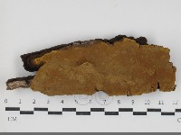 登錄號:F0034325藏品圖，第1張