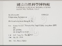 登錄號:F0034326藏品圖，第2張