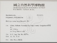 登錄號:F0034327藏品圖，第2張