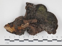 登錄號:F0034327藏品圖，第3張