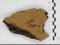 登錄號:F0034328藏品圖，第1張