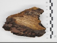 登錄號:F0034328藏品圖，第3張