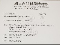 登錄號:F0034331藏品圖，第2張