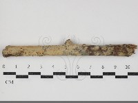 登錄號:F0034332藏品圖，第2張