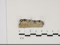 登錄號:F0034336藏品圖，第1張