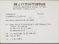 登錄號:F0034337藏品圖，第2張
