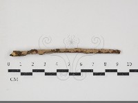 登錄號:F0034337藏品圖，第1張