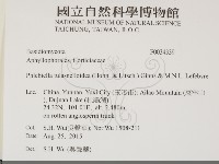 登錄號:F0034339藏品圖，第2張