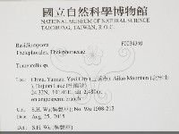 登錄號:F0034340藏品圖，第2張