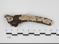 登錄號:F0034341藏品圖，第1張