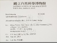 登錄號:F0034342藏品圖，第2張