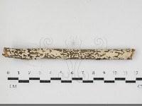 登錄號:F0034342藏品圖，第1張