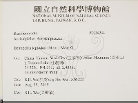 登錄號:F0034344藏品圖，第2張