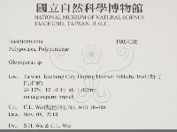 登錄號:F0034345藏品圖，第2張