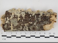 登錄號:F0034345藏品圖，第3張