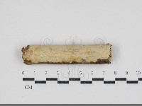 登錄號:F0034345藏品圖，第4張