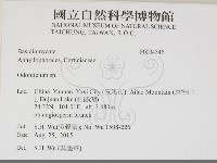 登錄號:F0034346藏品圖，第2張