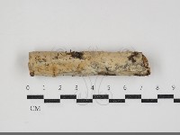 登錄號:F0034346藏品圖，第1張