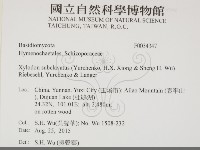 登錄號:F0034347藏品圖，第1張