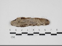 登錄號:F0034349藏品圖，第1張