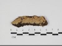 登錄號:F0034350藏品圖，第1張