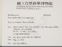 登錄號:F0034351藏品圖，第2張