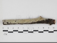 登錄號:F0034351藏品圖，第1張