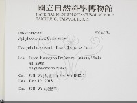 登錄號:F0034354藏品圖，第2張