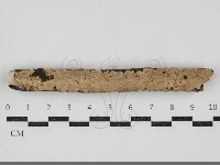 登錄號:F0034355藏品圖，第1張