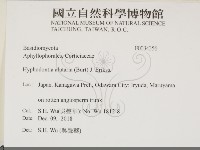 登錄號:F0034356藏品圖，第2張