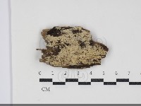 登錄號:F0034356藏品圖，第1張