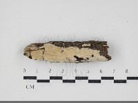 登錄號:F0034357藏品圖，第1張