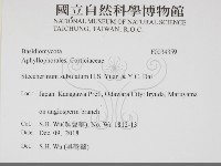登錄號:F0034359藏品圖，第2張