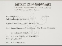 登錄號:F0034360藏品圖，第2張