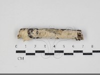 登錄號:F0034361藏品圖，第1張