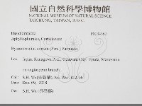 登錄號:F0034362藏品圖，第2張