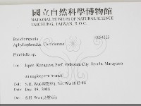 登錄號:F0034363藏品圖，第2張