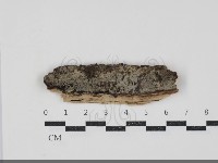 登錄號:F0034363藏品圖，第1張