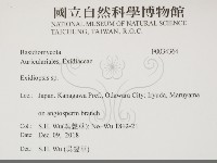 登錄號:F0034364藏品圖，第2張